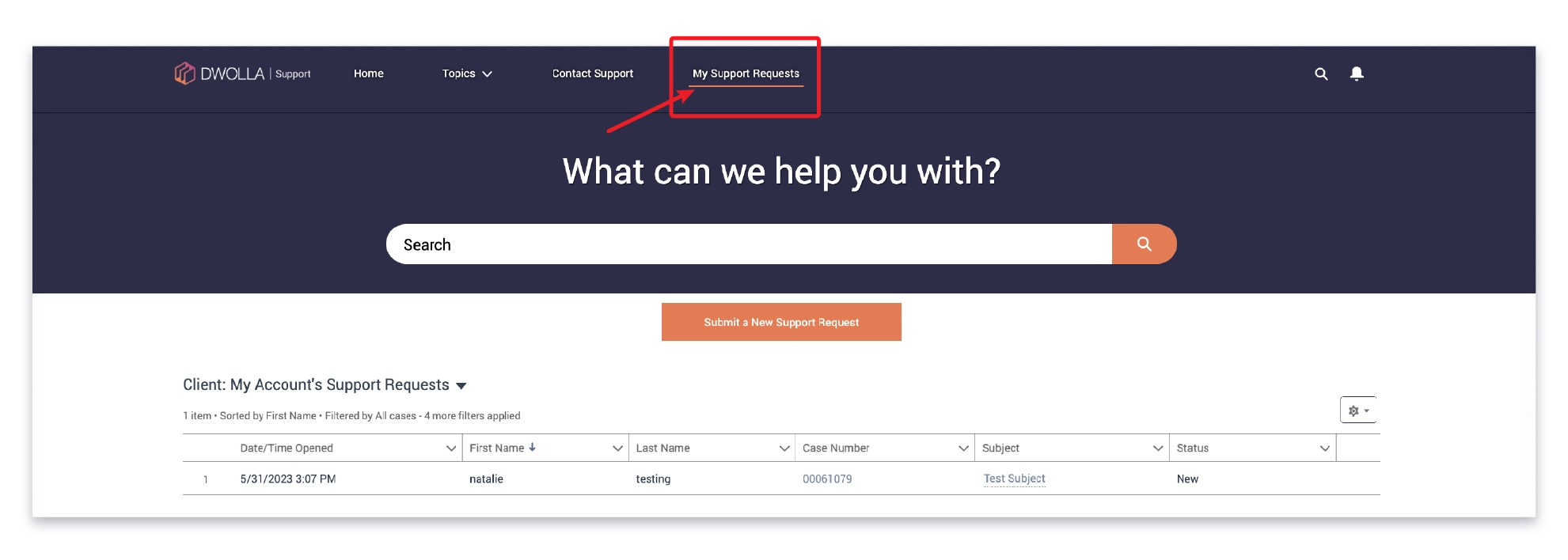 client-support-screenshot_my-requests client-support-screenshot_my-requests